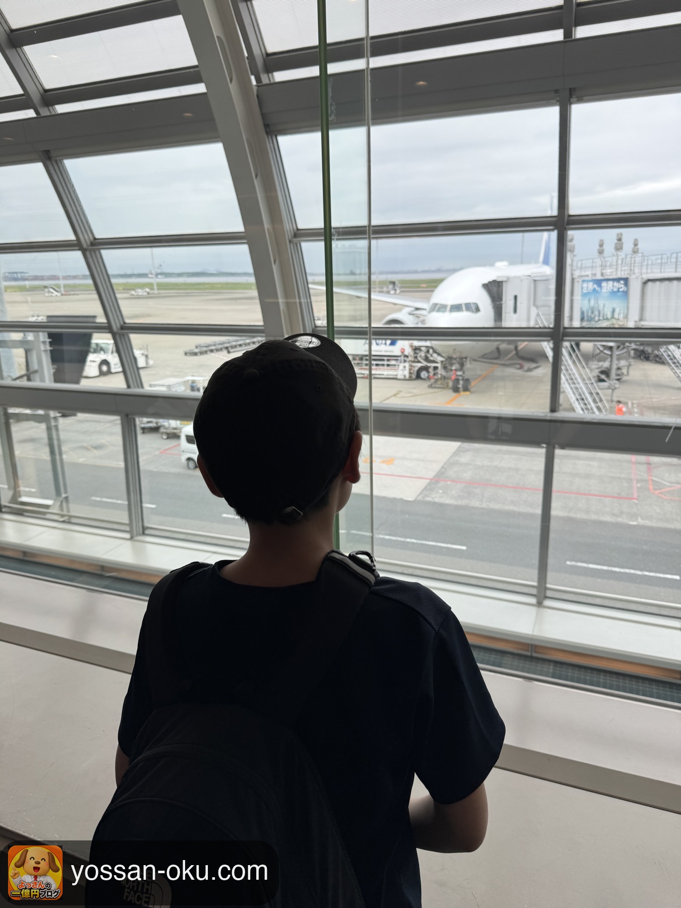 飛行機を眺める小学生の息子