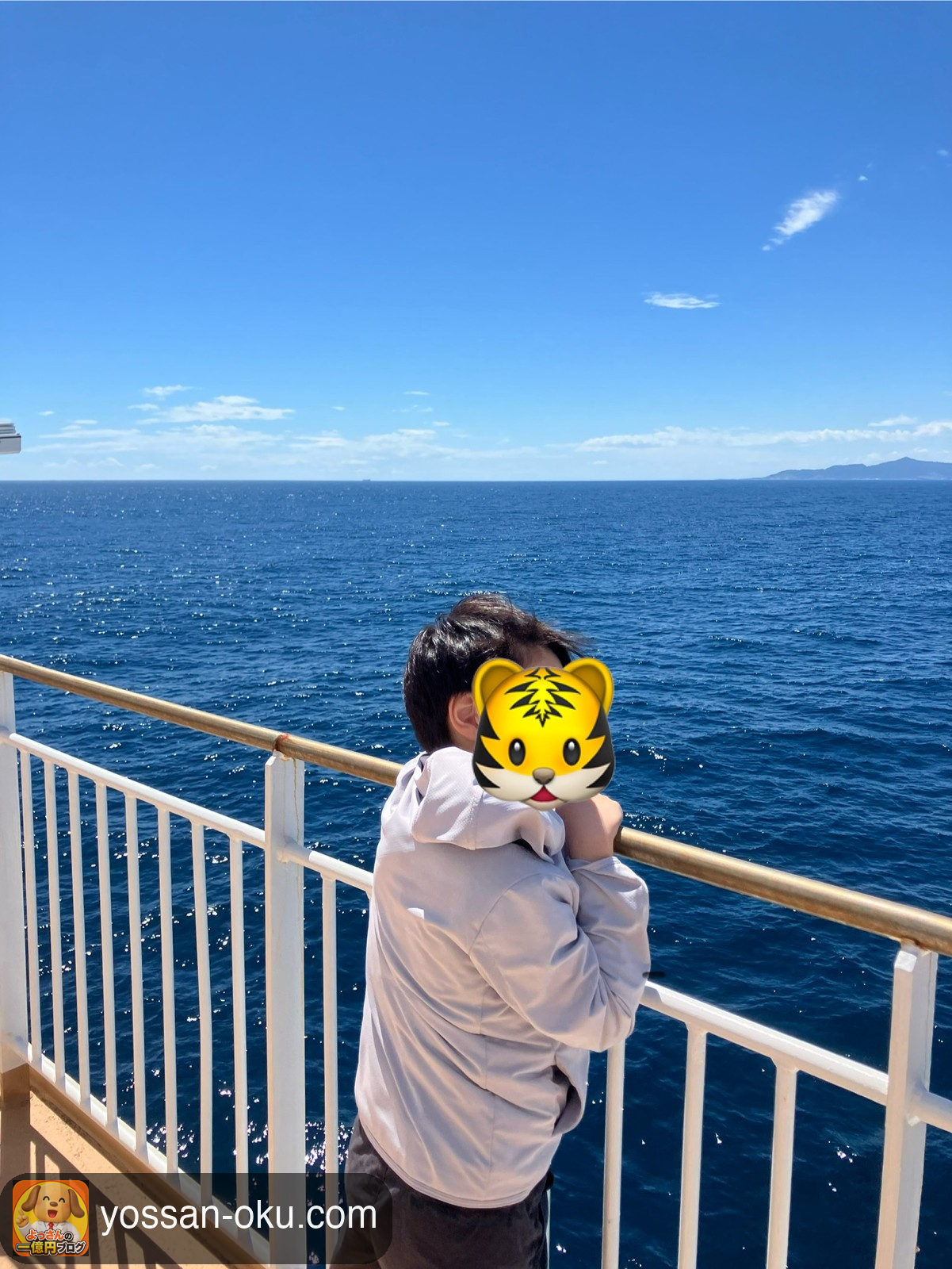 デッキから海を眺める息子